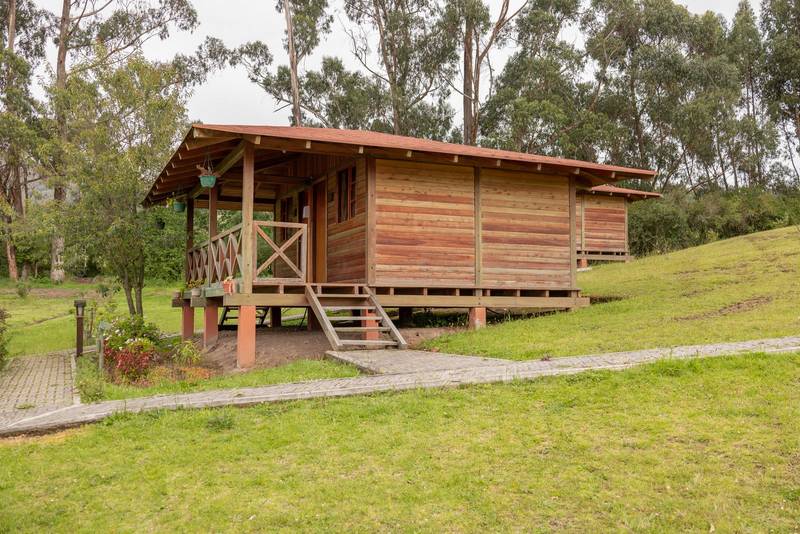 rustic cabin in the countryside surrounded by nature, wooden structure