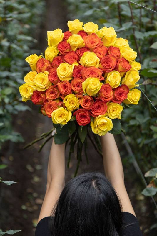 flower arrangement for girlfriend or romantic gifts, nature