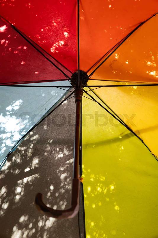 multicolored umbrella hanging among trees with sunlight