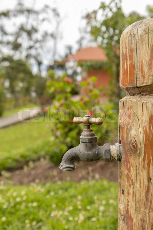 metal water taps, in a garden with nature outside, domestic object