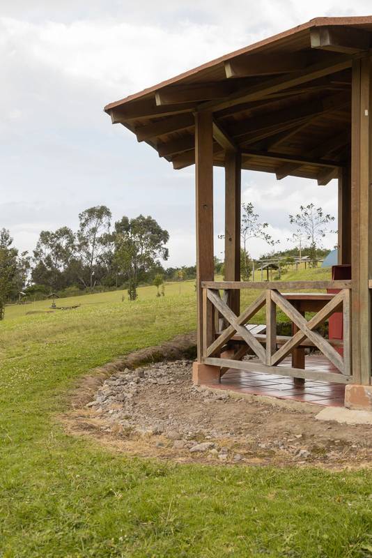 barbecue area in park with grass and trees, nature as landscape