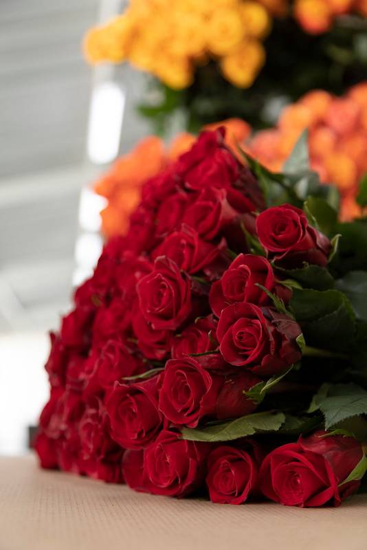 red rose petals, natural as decoration on a table, beautiful flowers