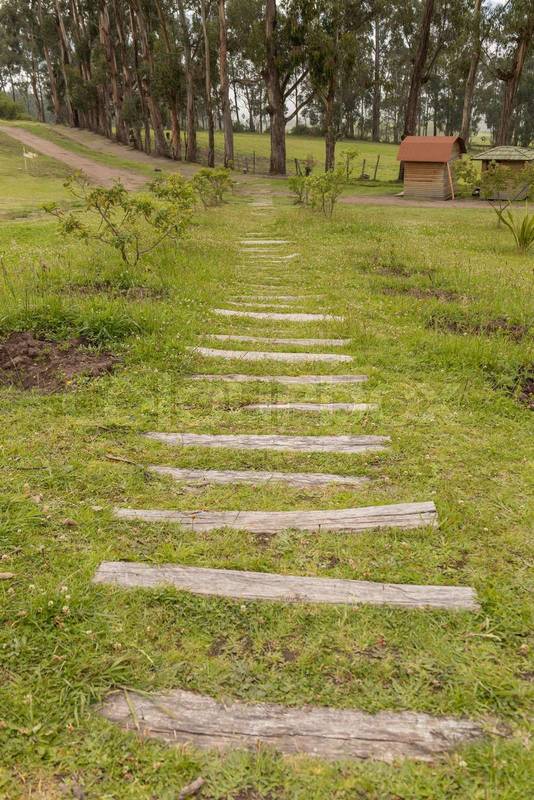 farm with a path surrounded by grass and wood as steps