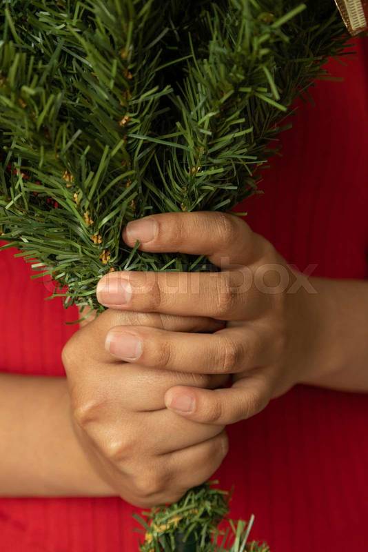 preparation for special date, nature christmas decoration