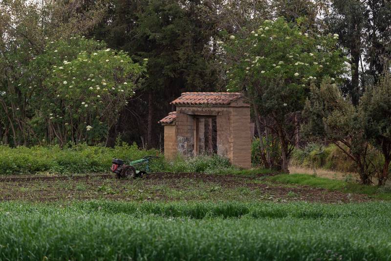 cultivated land next to a small tractor, structure of a small rustic cabin