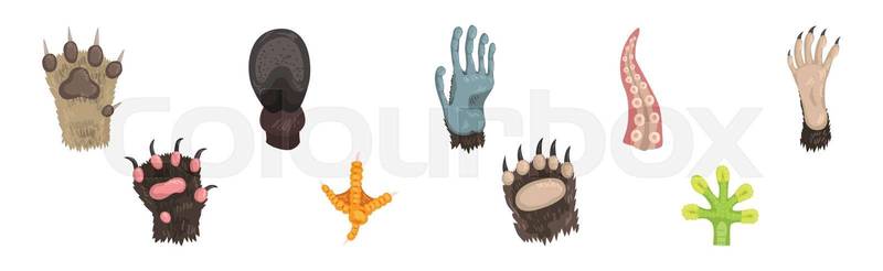 Different Animal Paw and Limb or Foot Vector Set. Various Ma | Colourbox