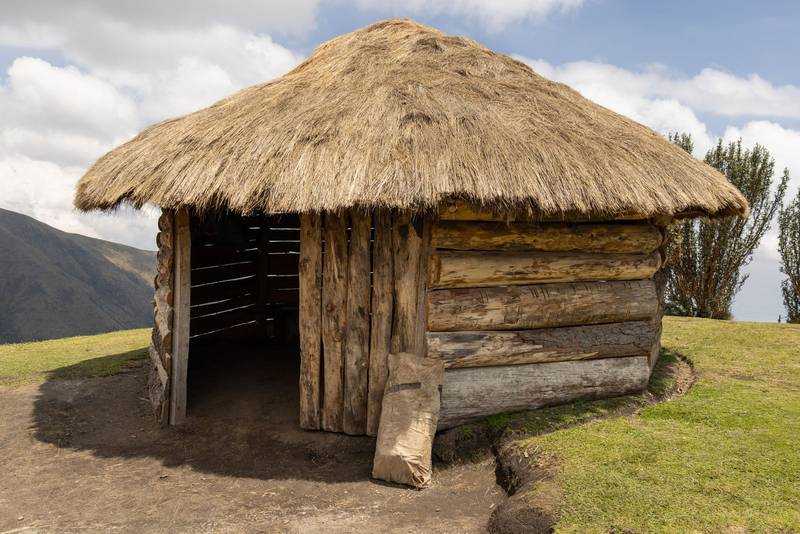 rustic style hut with thatched roof and wooden structure, traditional architecture, landscape
