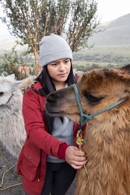 mammal domestic animal with rope next to young latin woman with winter clothes, landscape