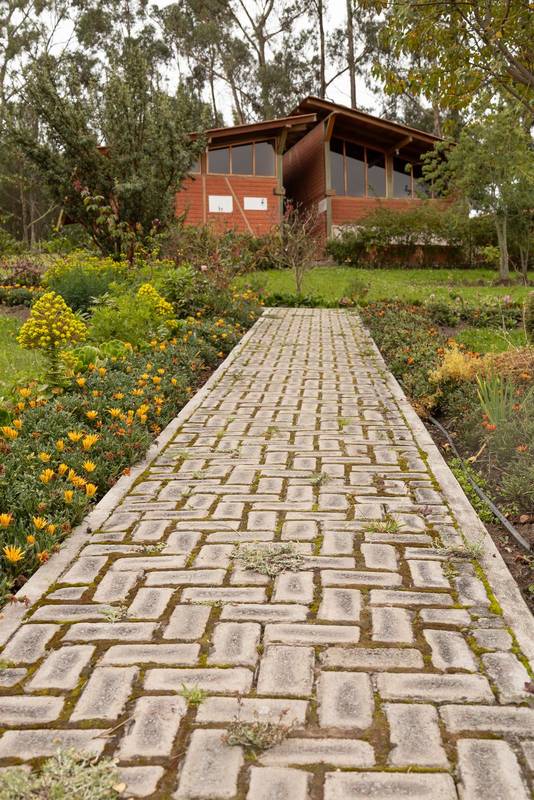 facade of a house in the countryside surrounded by nature with a cobblestone path