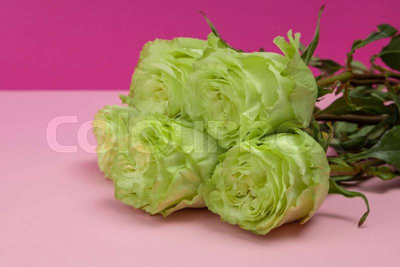 head of four white roses, beauty of natural nature