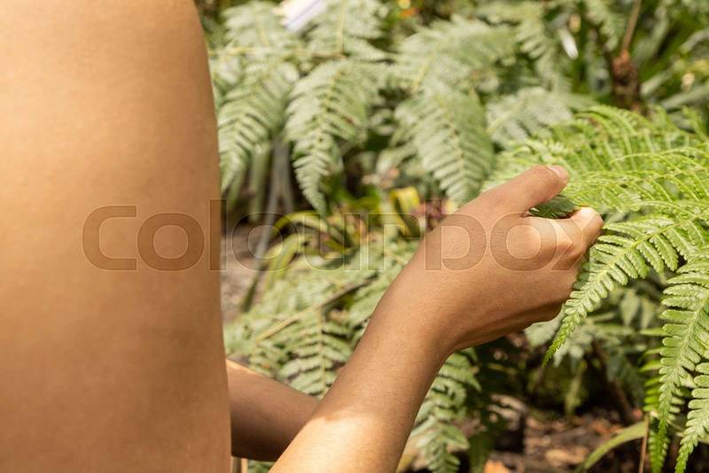 hand holding the leaf of a fern in a garden, nature