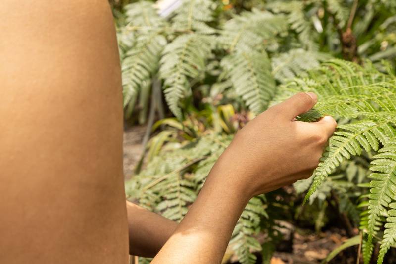 hand holding the leaf of a fern in a garden, nature