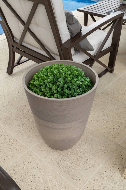 ceramic pot with a plant with many leaves