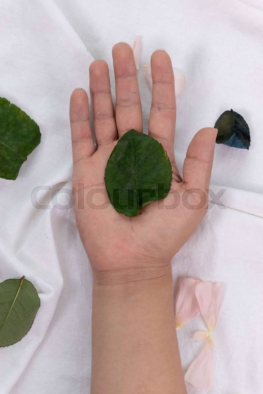 holding the leaf of a fresh plant, care of the planet and ecosystem
