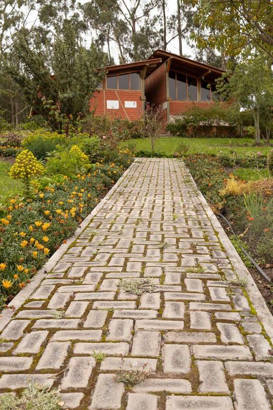 facade of a house in the countryside surrounded by nature with a cobblestone path