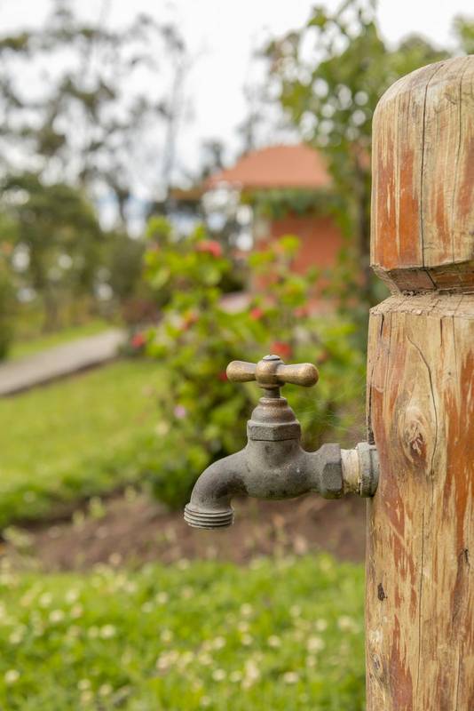 metal water taps, in a garden with nature outside, domestic object