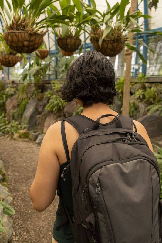 person from behind with a backpack walking along a path in the middle of a garden, lifestyle of a tourist